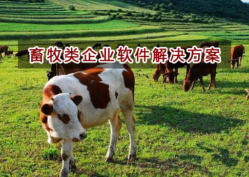 畜牧行業(yè)應(yīng)該如何選擇財務(wù)軟件？