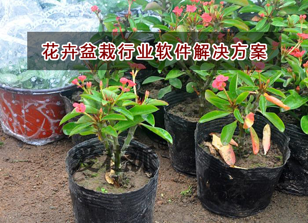 花卉盆栽行業(yè)應(yīng)該如何選擇財(cái)務(wù)軟件？財(cái)務(wù)做賬記賬如何實(shí)現(xiàn)？