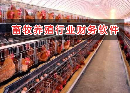 畜牧養(yǎng)殖行業(yè)應選擇什么財務管理軟件管理財務？