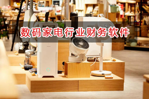數(shù)碼家電行業(yè)應(yīng)選擇什么財(cái)務(wù)管理軟件管理財(cái)務(wù)？