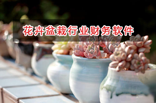 花卉盆栽店應(yīng)選擇什么財務(wù)管理軟件管理財務(wù)？