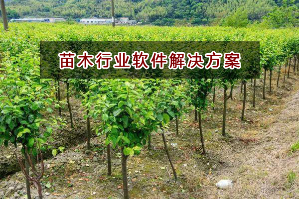 苗木行業(yè)如何選擇進(jìn)銷存財(cái)務(wù)軟件管理倉(cāng)庫(kù)和財(cái)務(wù)？