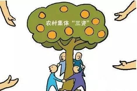 農(nóng)村<a href='http://m.kshxzl.com'>財(cái)務(wù)管理軟件</a>都有哪些？